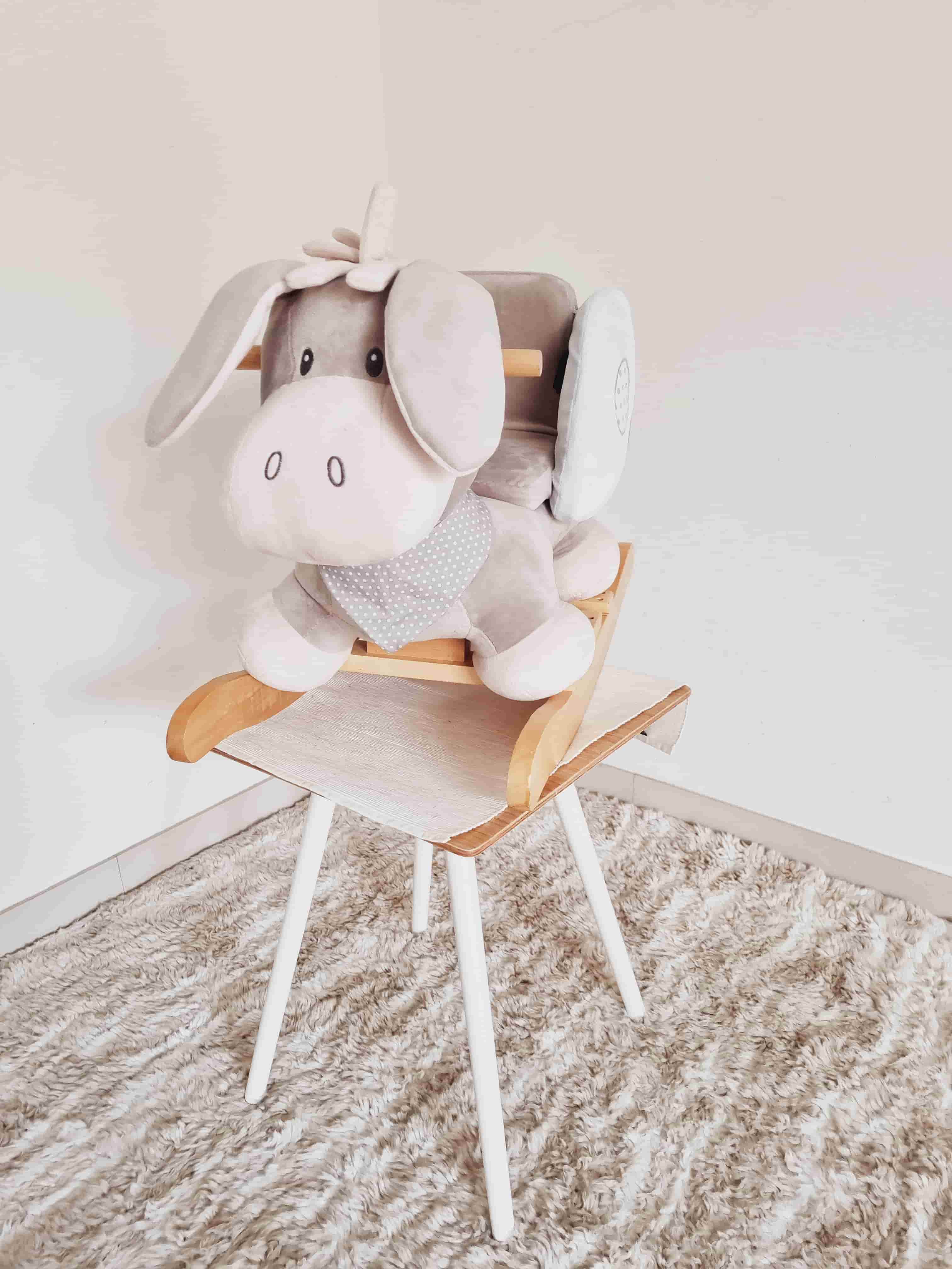 Nattou schommel ezel