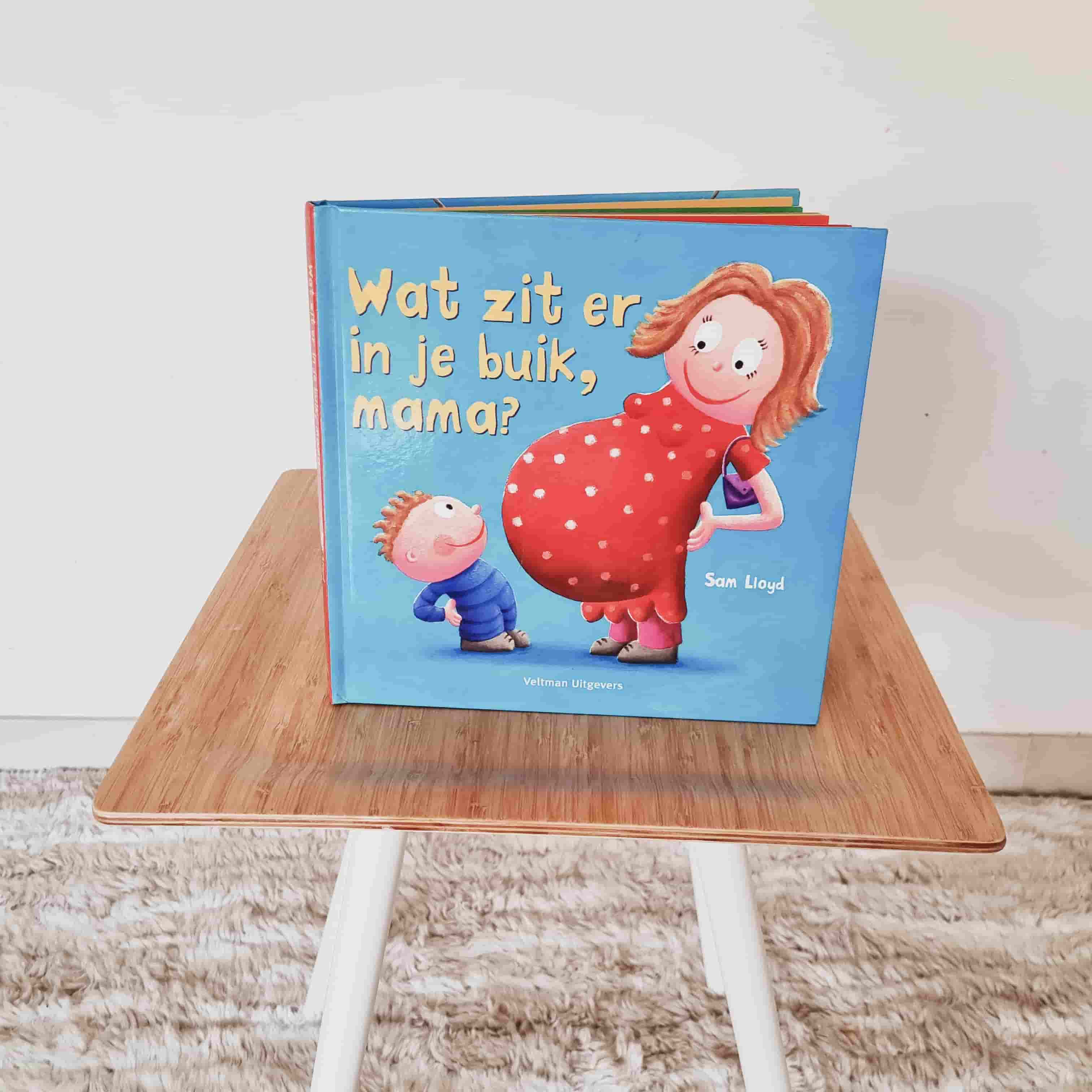 Boek Wat zit er in je buik, mama?