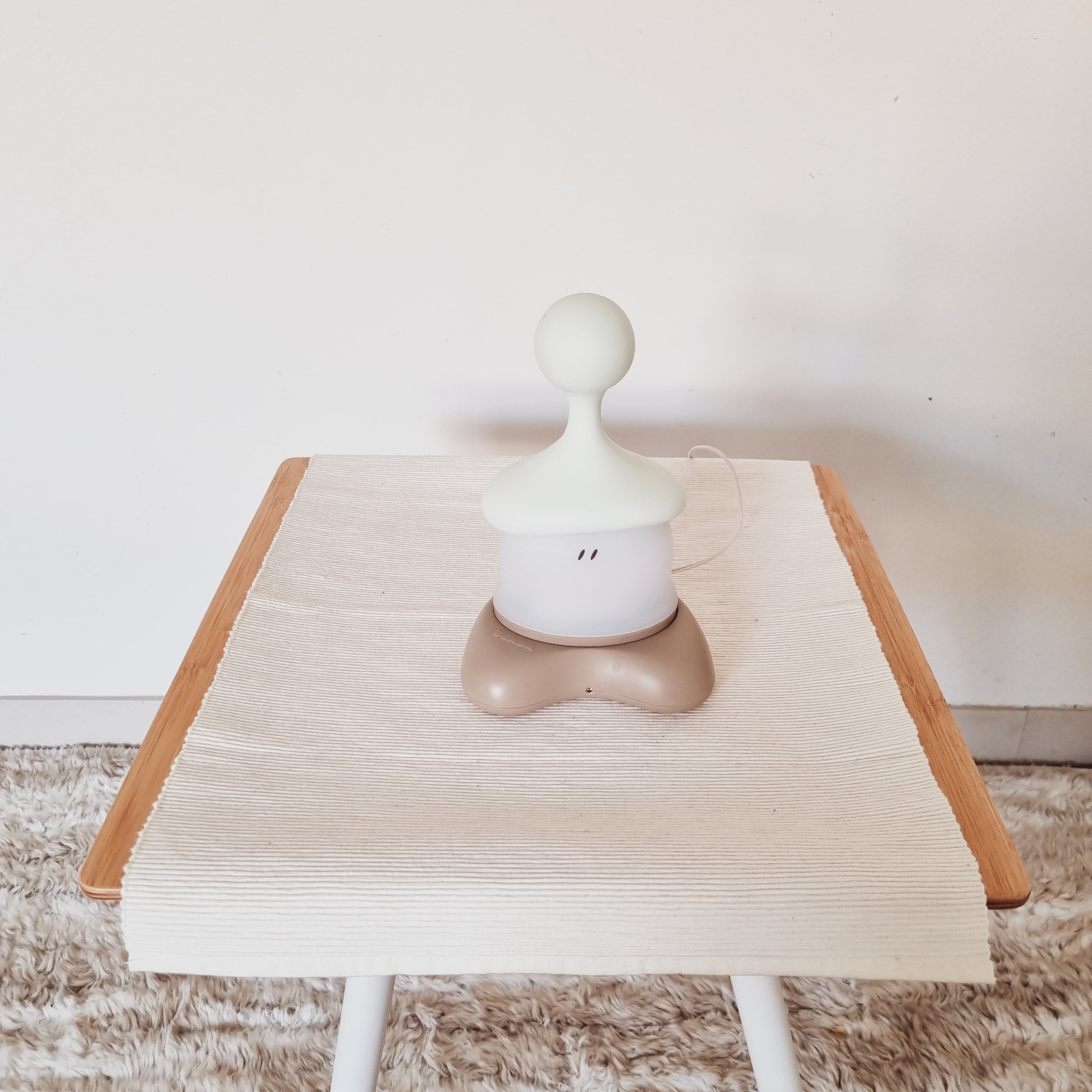 Nacht lampje oplaadbaar